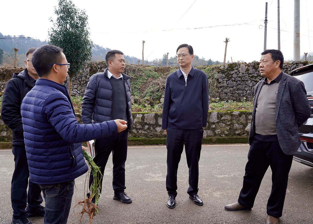 清镇市委书记付涛调研村级集体经济发展及耕地保护工作_项目_暗流