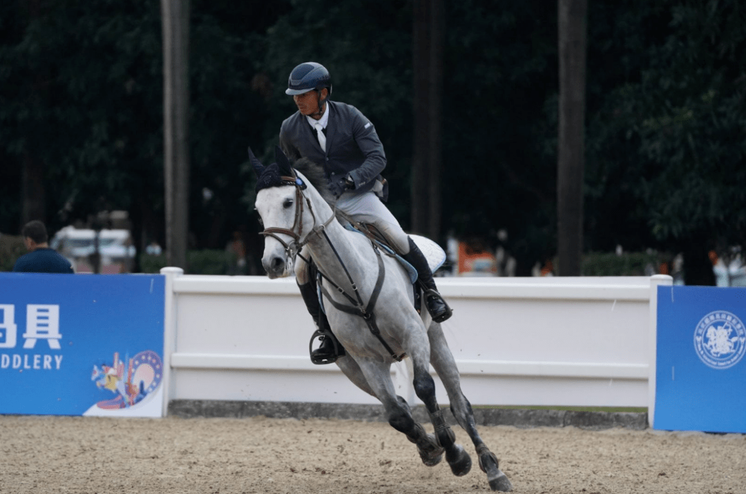 【现场】广州泰骏骑手张勇获120cm赛桂冠,广东省马术联赛总决赛首日完