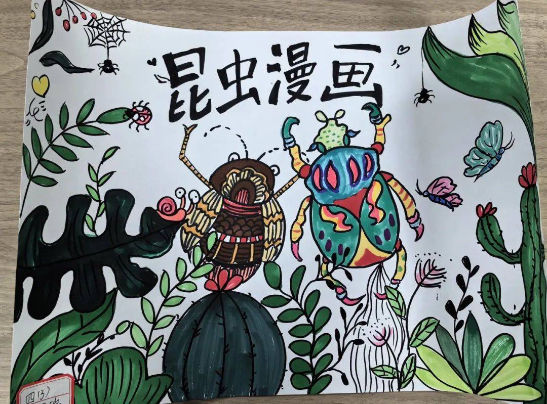 把洁白的纸张染上五颜六色,一起来欣赏一下他们的手抄报吧