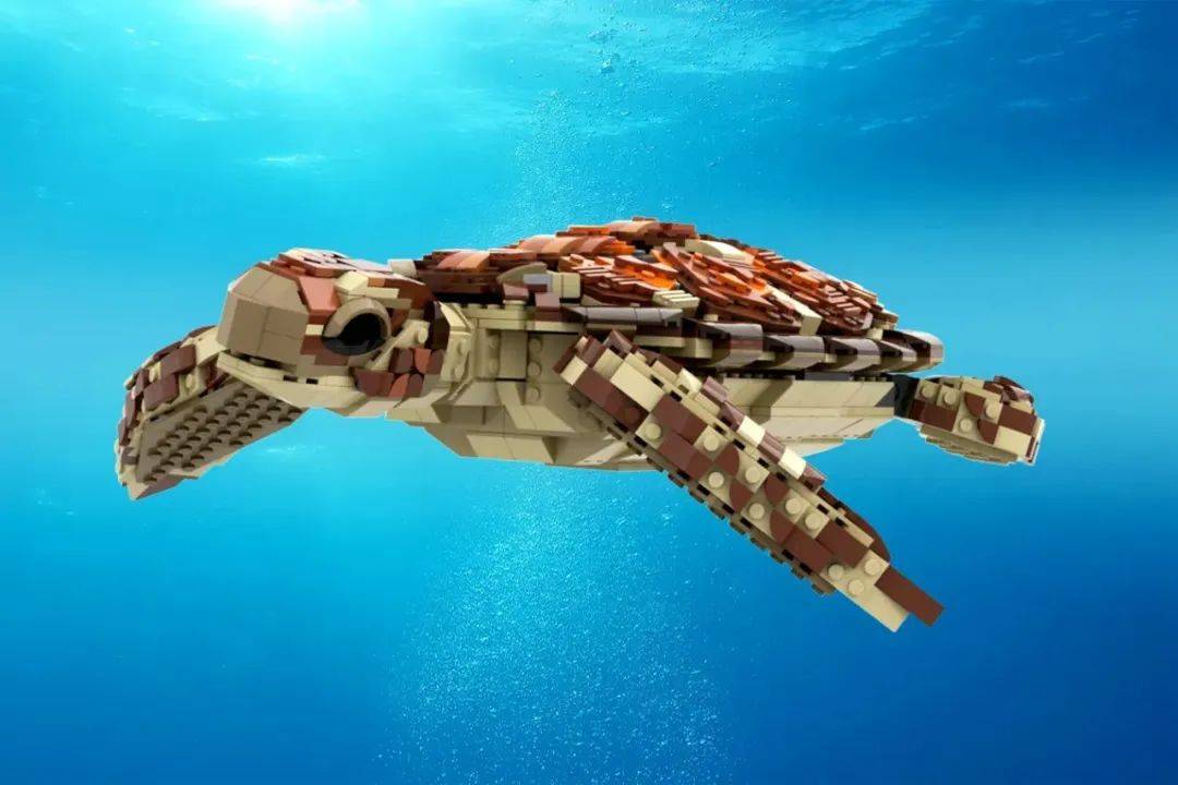 又见星月夜设计师新作~乐高ideas作品《海龟》获万票支持!