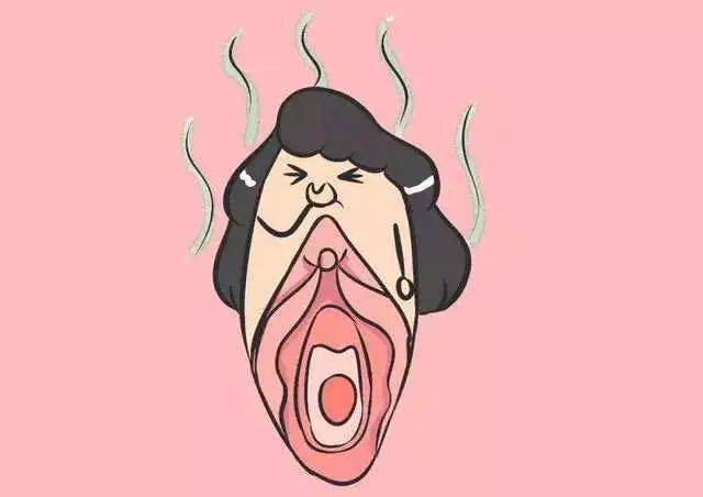 来自搜狐网