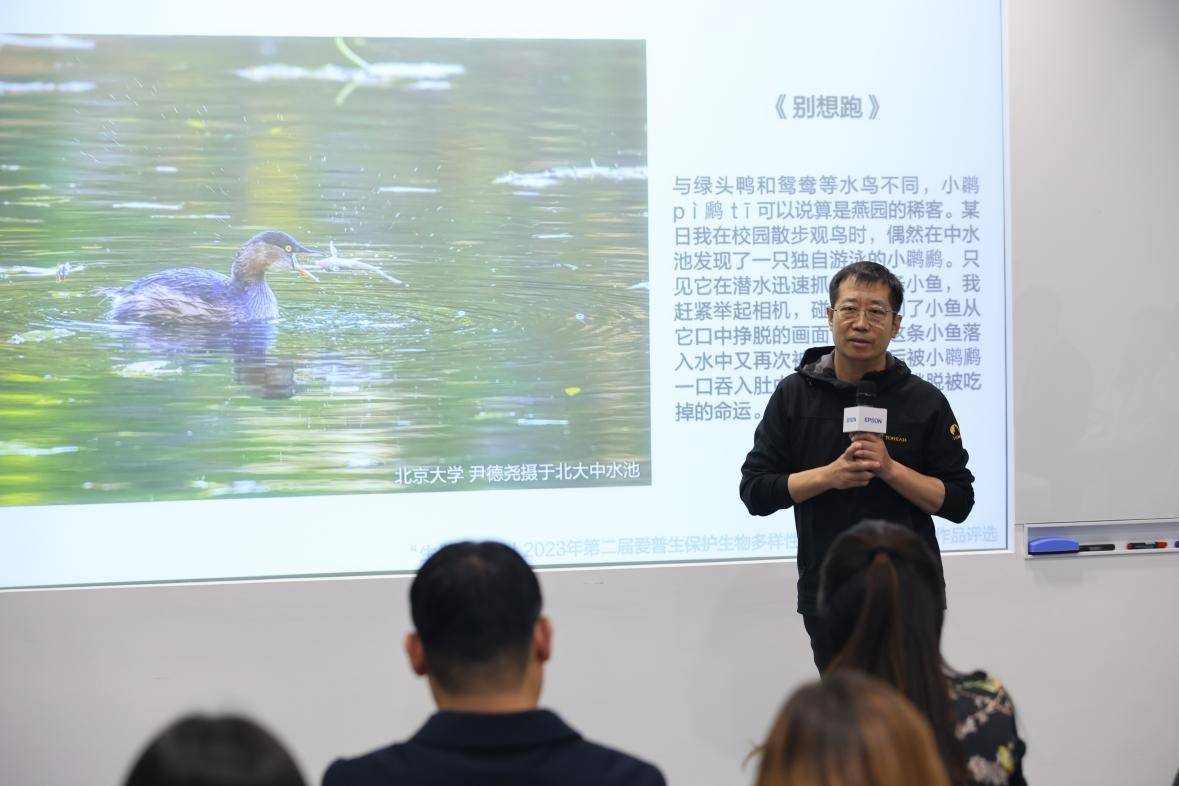 中用鏡頭敏銳地捕捉到了紅角鴞,花臉鴨,白鷺等國家保護動物的真實狀態