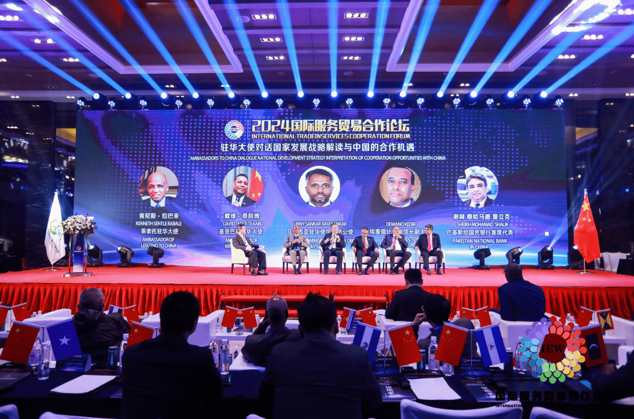 协会专家委员会副理事长,北京第二外国语学院经济学院副院长王海文