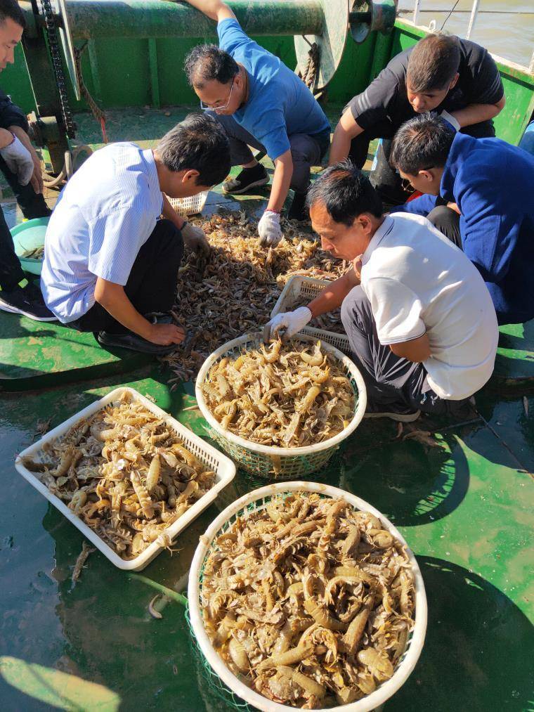 河北沧州黄骅港涛哥出海一日游,涛哥出海一日游游轮,公司团建家庭聚餐