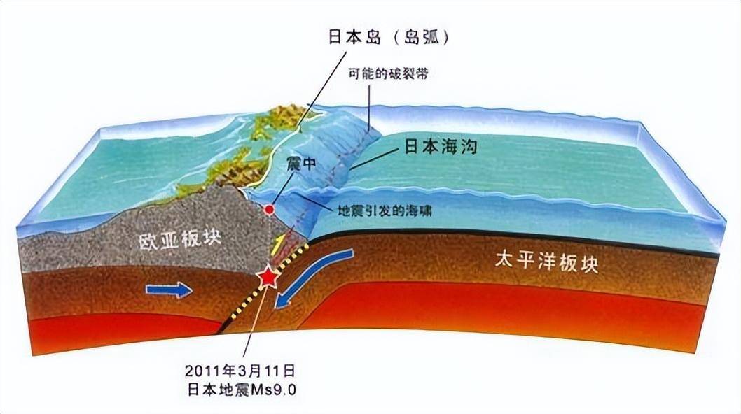 石炭纪板块图片