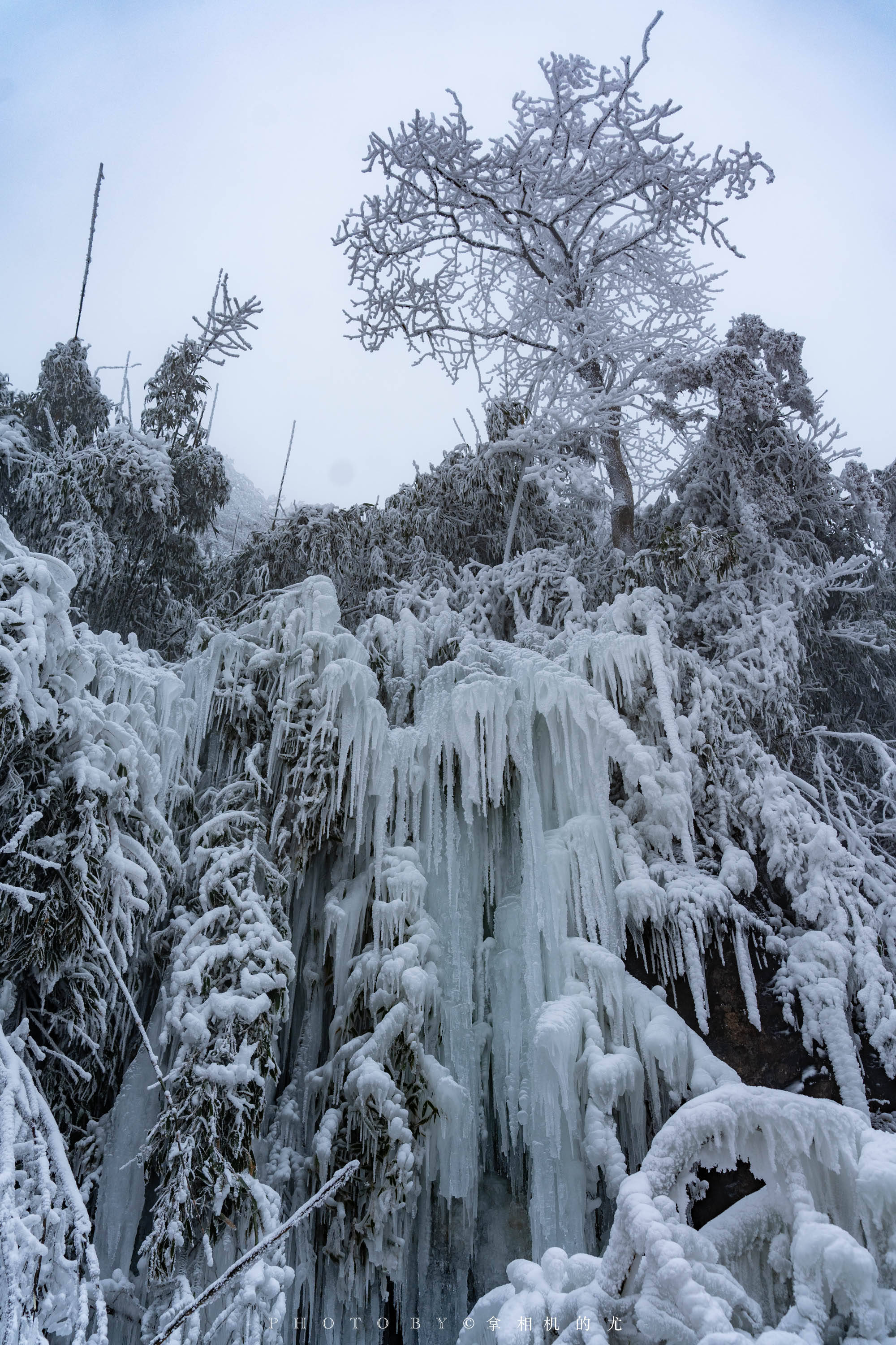 南川金佛山下雪图片