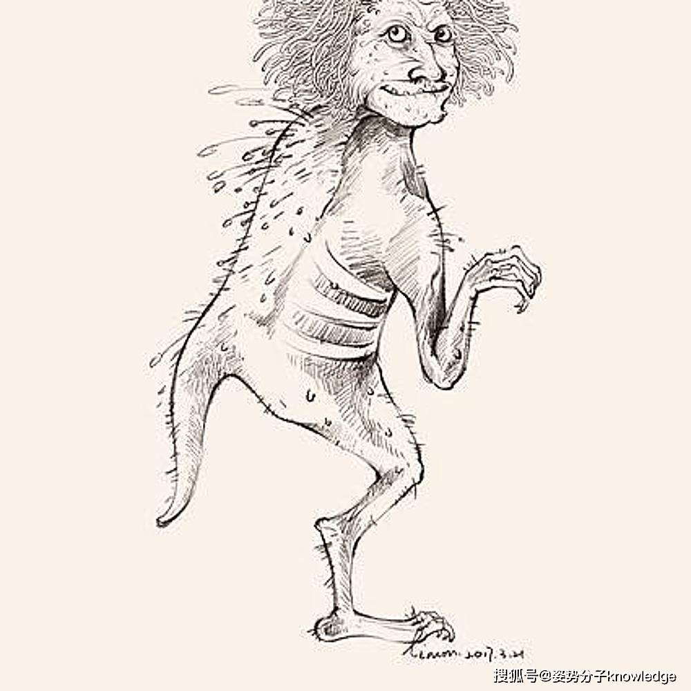 5分钟了解烟花爆竹的历史，原来古代真的用竹子，历史真有趣_搜狐网