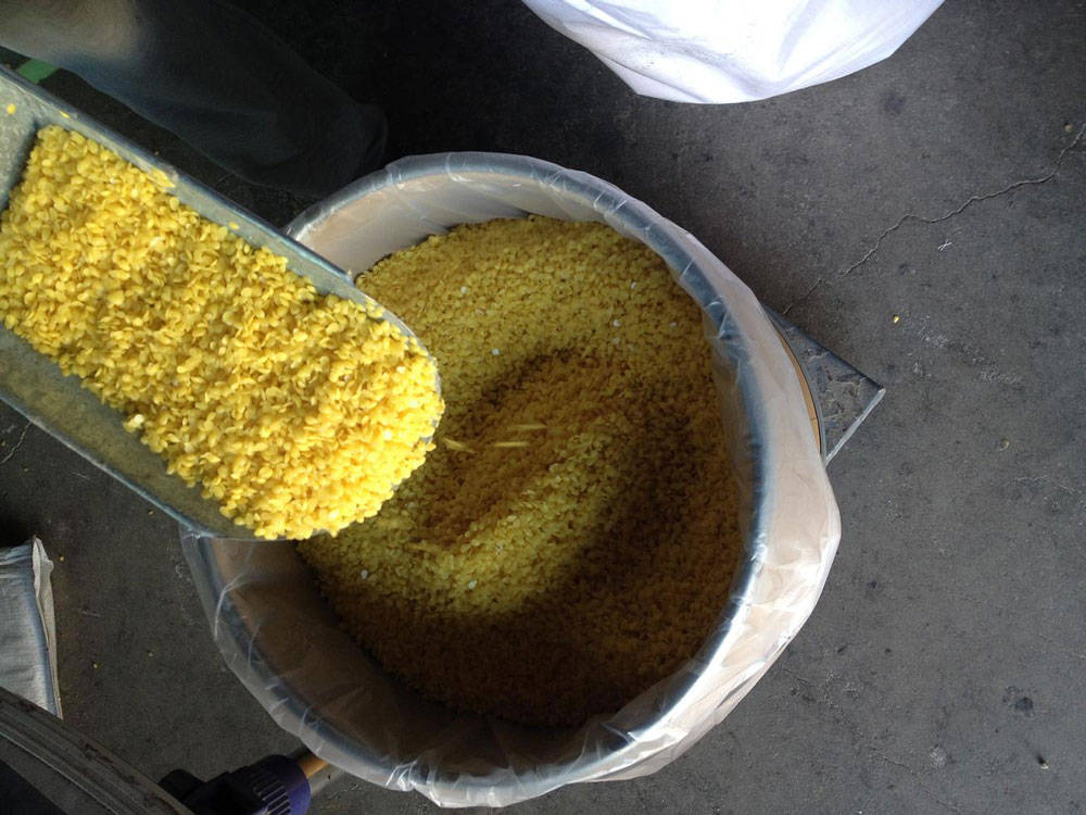 黄蜂蜡的采集技巧与注意事项_蜜蜂_蜂巢_用途