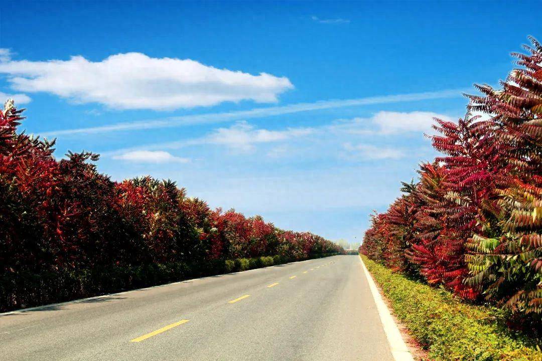 承德市隆化县:"农村公路"为百姓打造乡村振兴"致富路"_建设_施工_监管