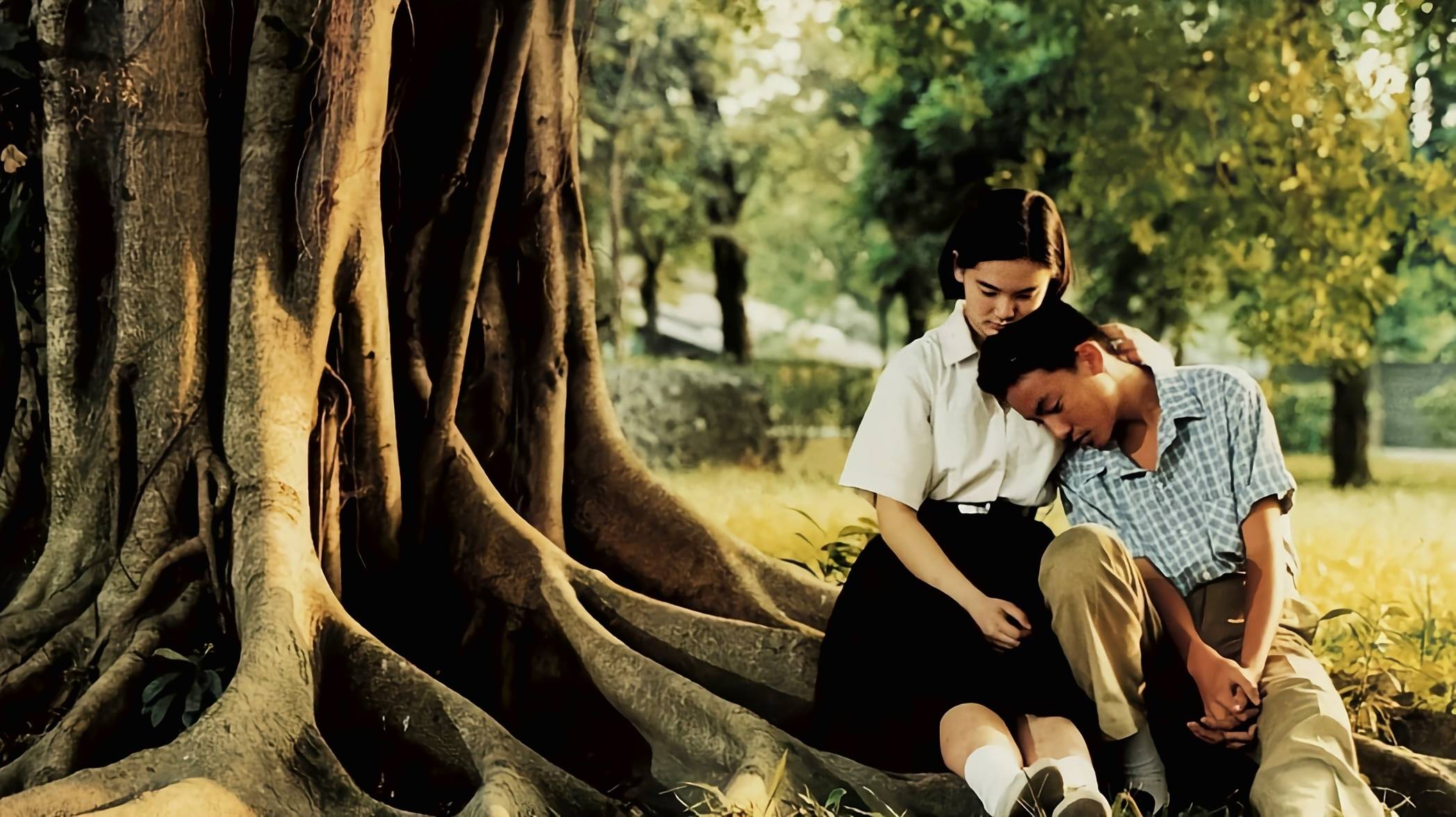 《牯岭街少年杀人事件》是由杨德昌执导,张震,杨静怡,张国柱等人主演