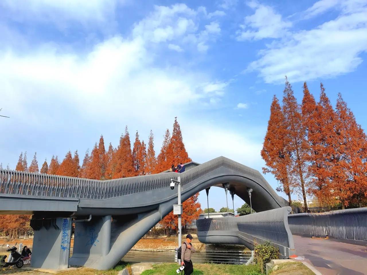 个宝藏公园,面积500余亩,环境好,还能感受文化魅力_蜀绣_大自然_安靖