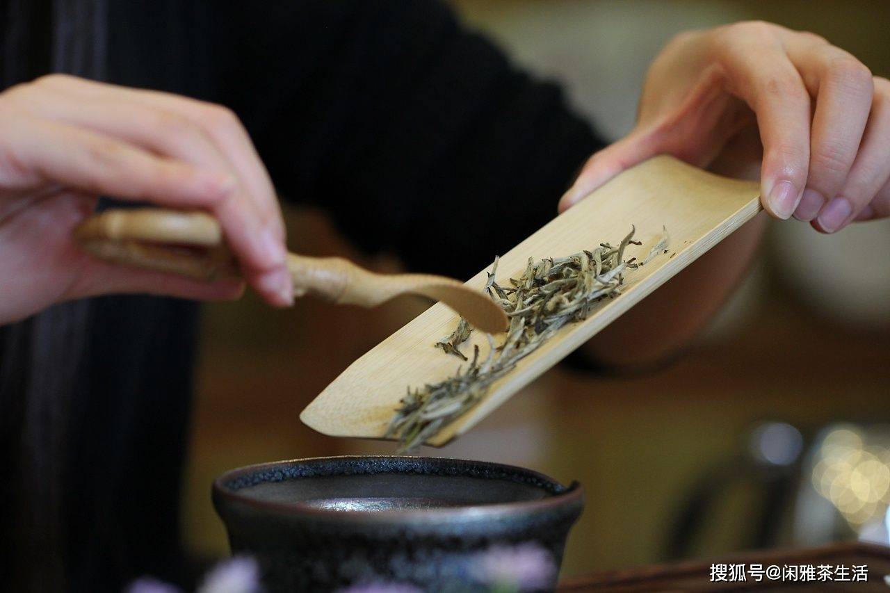 茶文化之家中用茶壶泡茶,投茶量应依什么而定?_茶叶_调整_容积