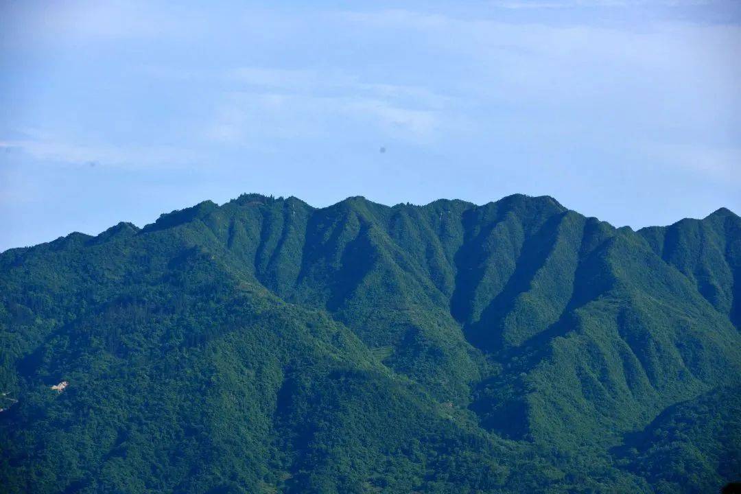 利川石壩工業鎮遺址的榮耀與希望_石壩鎮_齊嶽山_奶奶