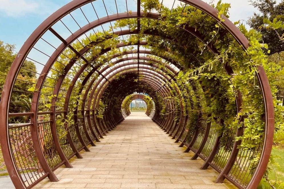 上海金山吕巷水果公园好比花果山