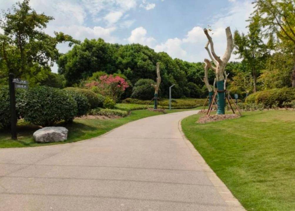 上海莘庄黎安公园城市中安逸的美景_娱乐_市民_宁静