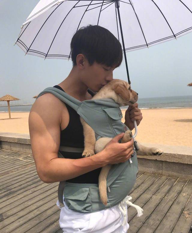 手臂肌肉十分的明显,和穿上外套看上去天差地别事实上,脱了外套的成毅