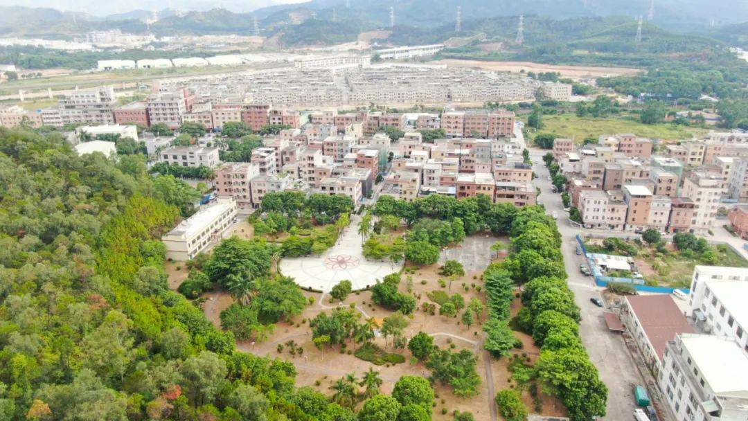 实至名归!东莞谢岗荣获"广东省森林城镇"称号