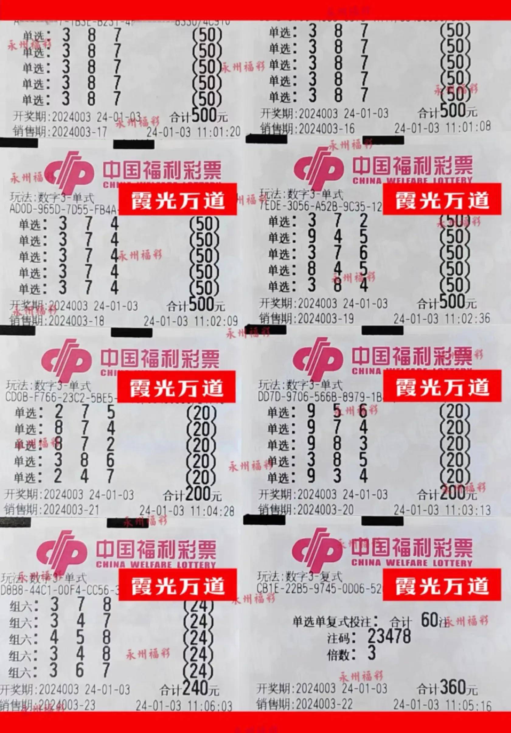 24003期福彩3d晒票:10套大票蜂拥而至,能否得到好运青睐?