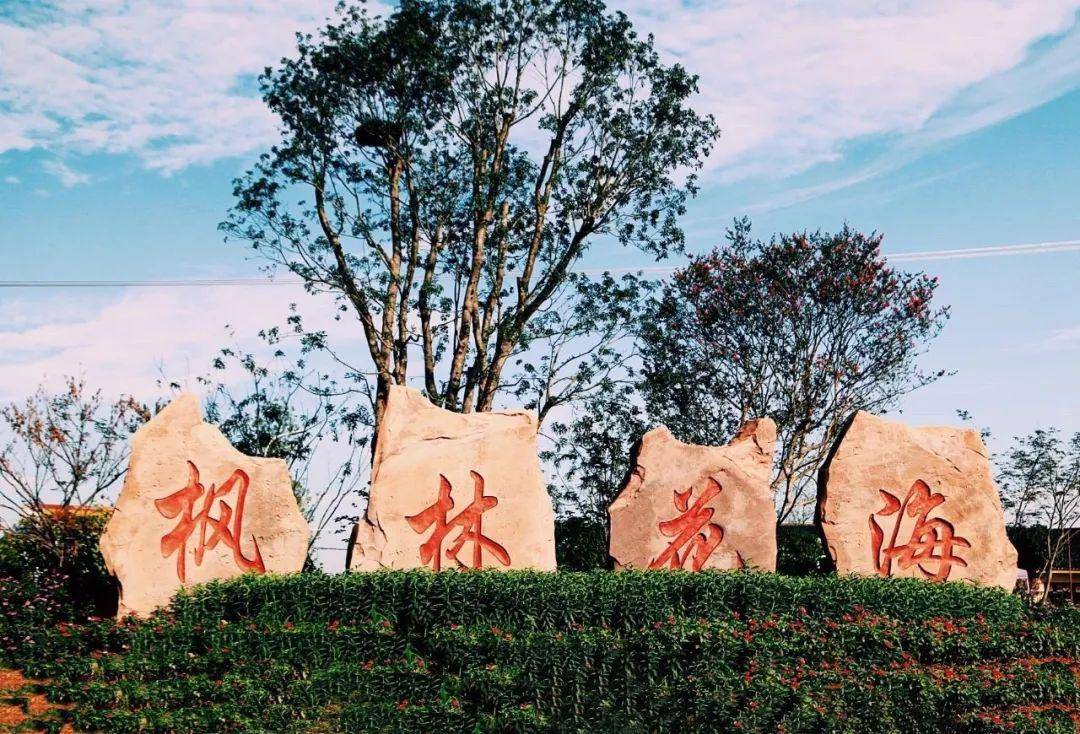 夷望溪,枫林花海福利来喽!