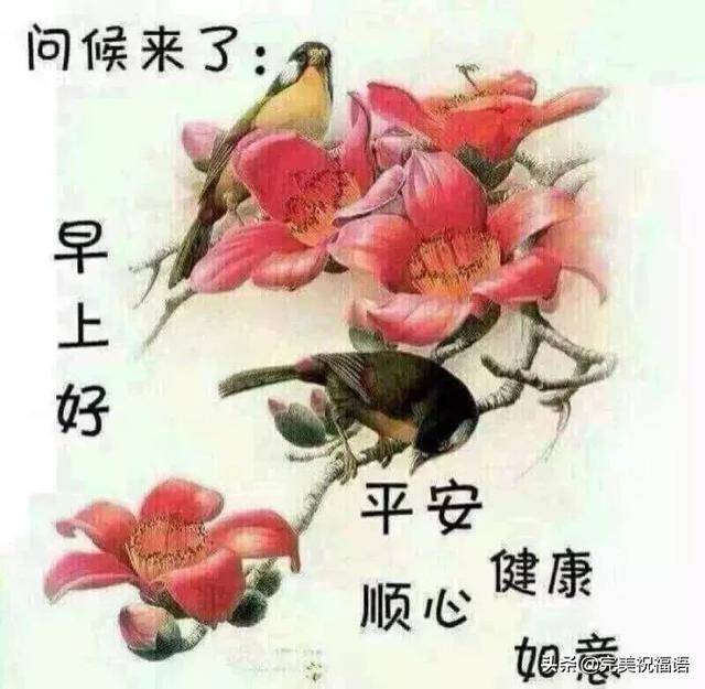 最漂亮早上好圖片大全微信最美清晨圖片加問候語