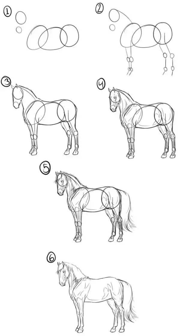 马不会画初学者需按照马的结构画这才是马的正确画法