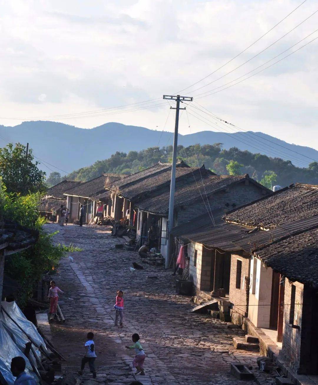 吃曼松看倚邦一般人喝不到的皇帝茶