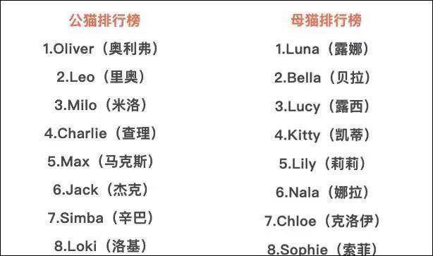 在给猫起名这块,中国铲屎官把气质拿捏得死死的!_名字