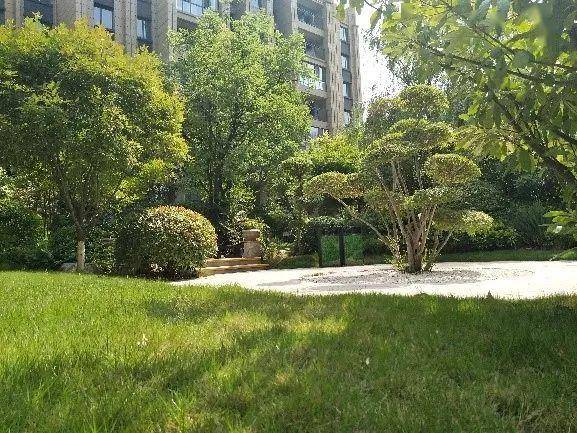 建业61公园里▎家境天成幸福归家启航美好