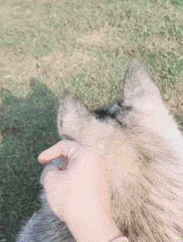 261_346竖版 竖屏gif 动态图 动图
