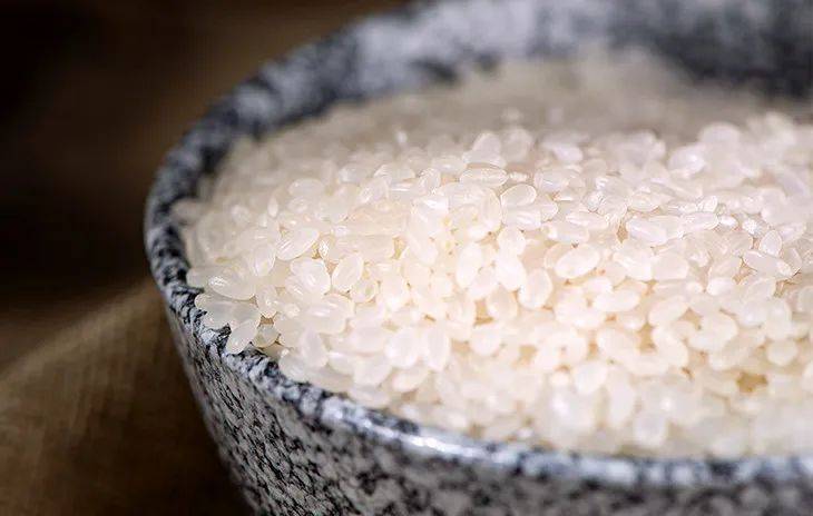 袁隆平团队花4年在盐碱地种出稻米不输五常今日买一送一