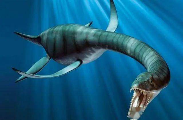 5种可能残余的远古生物第3种一百万年前大量存在中国