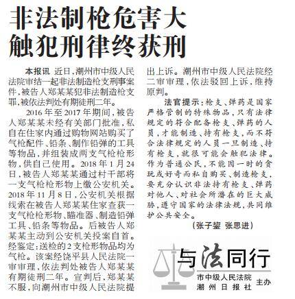 饶平法院非法制枪危害大触犯刑律终获刑