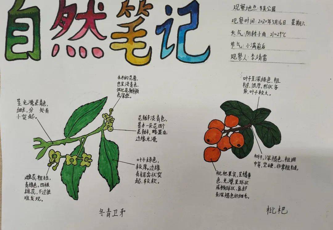 二十四节气小满万物小得盈满