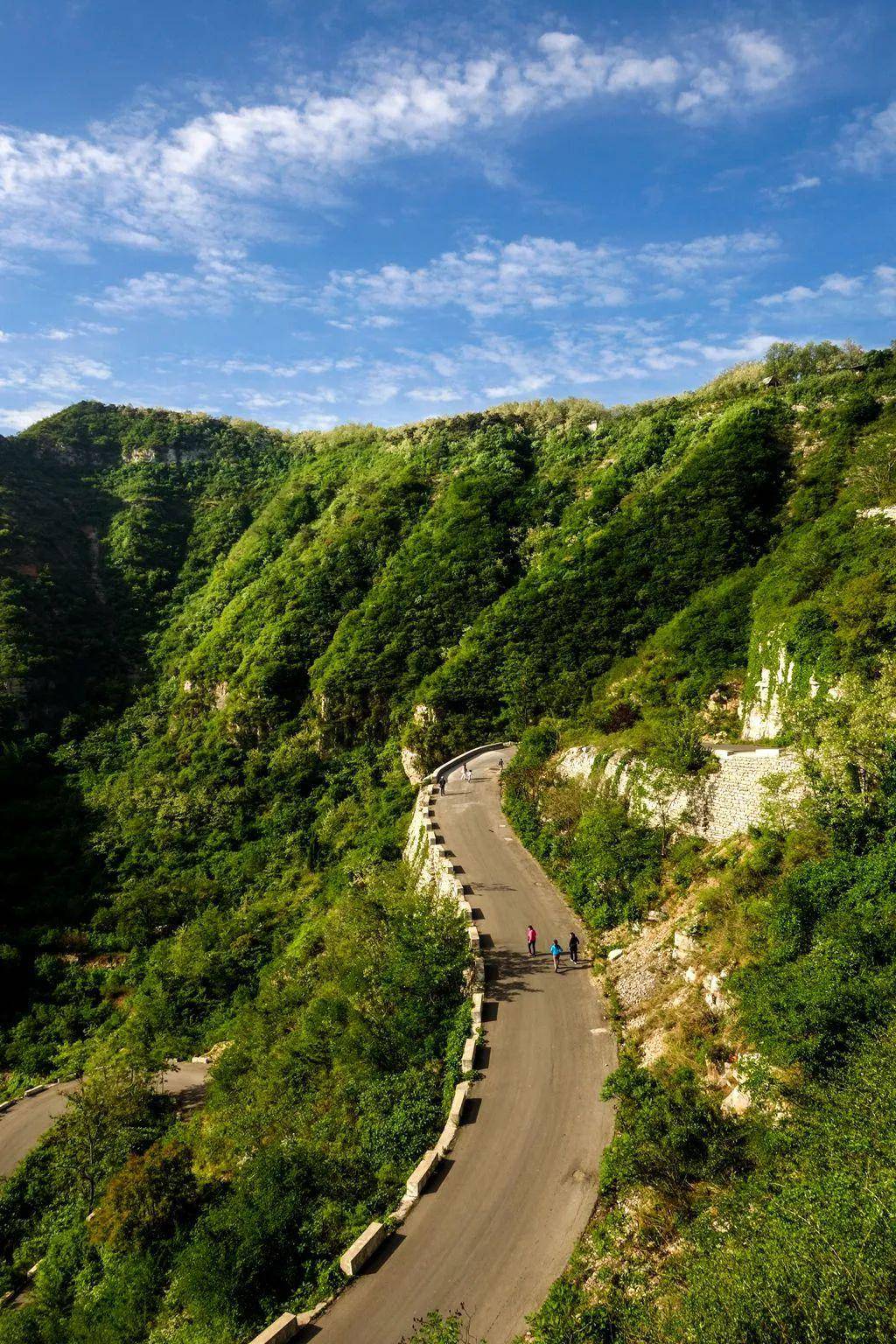 青州仰天山第十六届高山槐花节开幕