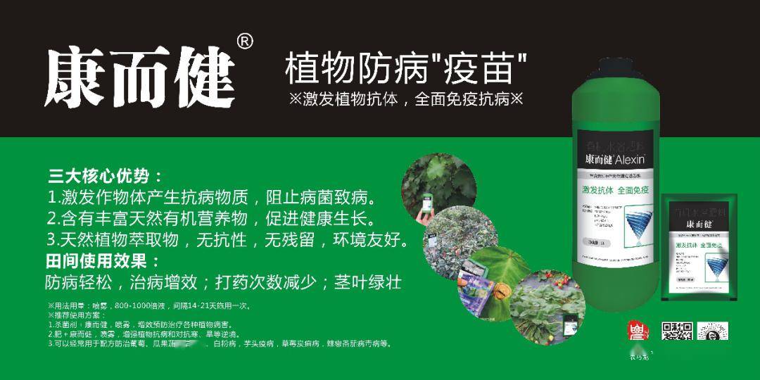 激发植物抗体 全面免疫抗病 了解产品