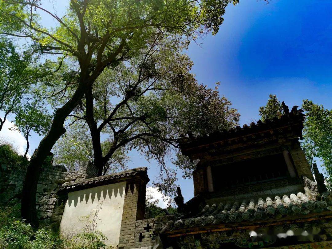 天然氧吧诸龙山森林公园