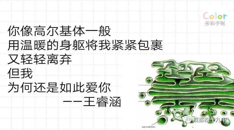 今天520生物情书超有趣