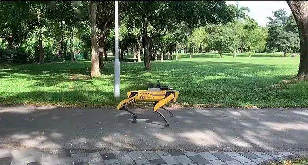 新加坡公园惊现无头狗向路人疯狂喊麦网友吓得直呼以为是科幻片