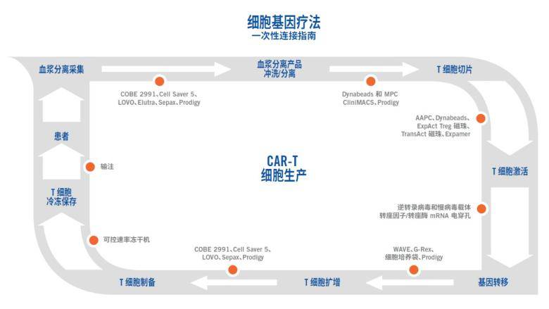 基因治疗流程图图片