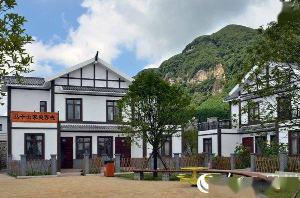 大方县凤山乡:"两带三治"谱写乡村振兴新篇章_手机搜狐网