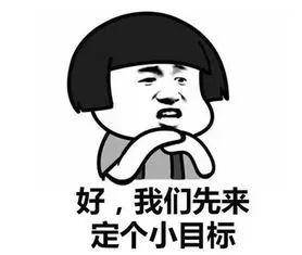 你今年的"小目标"实现了多少?