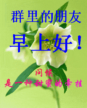 300_375竖版 竖屏gif 动态图 动图