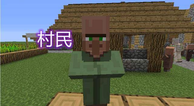 我的世界:没有一点攻击的村民?灾厄村民携带坐骑,还能主动攻击