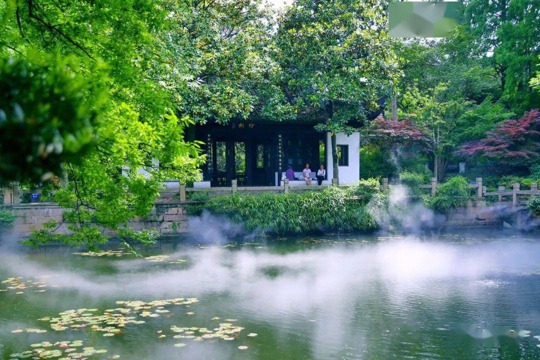 青浦这座275年的古园,引得"美人"纷至沓来打卡于此.