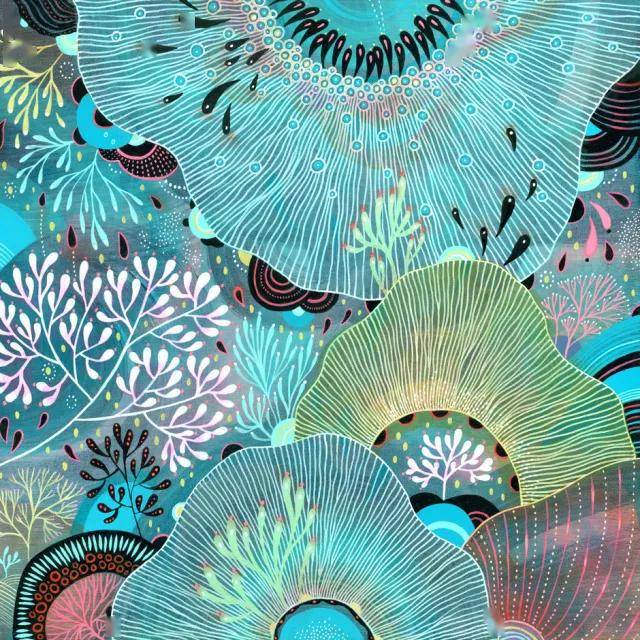 yellena james出的第一本书的书名是:" 星,分支,螺旋,扇形:学会从自然