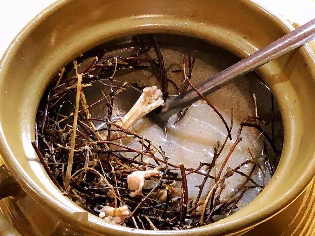 德庆大山这种野草既是煲汤佳品也是致命毒药