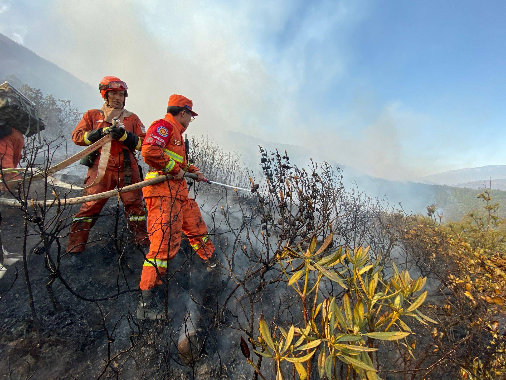 守护绿水青山 汶川全力做好森林草原防灭火工作_防火