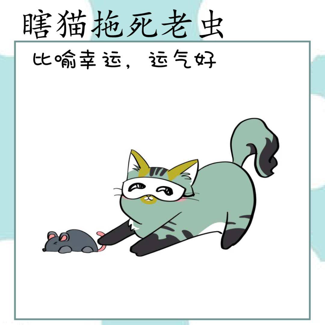 死老虫瞎猫拖06猫猫跘野05偎灶猫04三脚猫03拔脚猫02猫咪01搿眼猫咪老