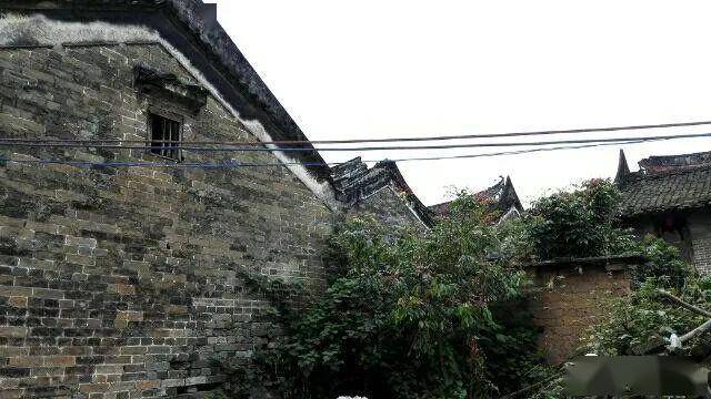 广西平南县东华镇龙口屯廖氏家族,据说先祖为明朝将军廖永忠的长子