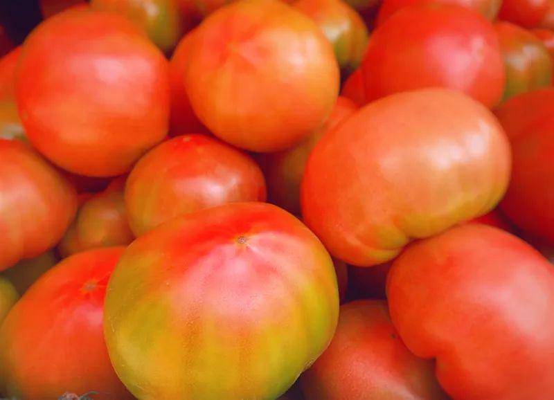 欢坨西红柿五六月酸甜爆汁的快乐地里现摘的赶紧抢订